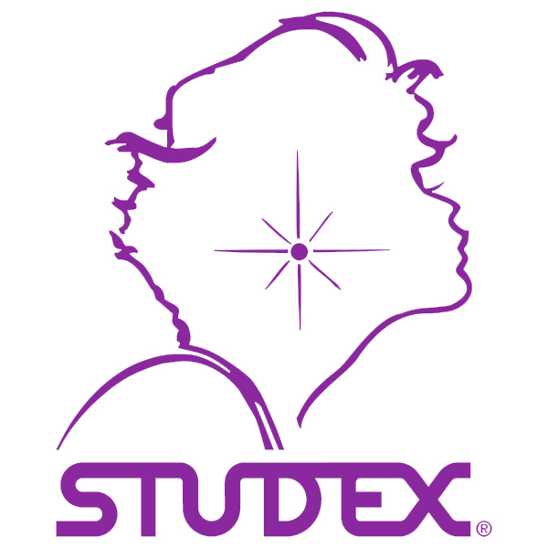 Сережки Studex