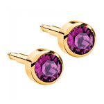 Сережки для проколу вух Nina, аметист (завальц.в золоті)